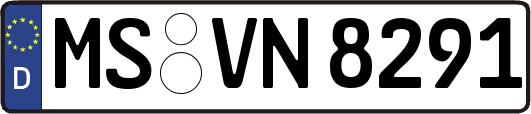MS-VN8291