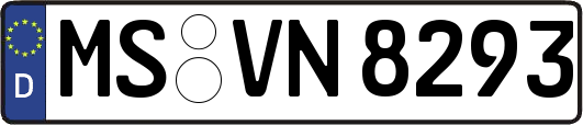 MS-VN8293