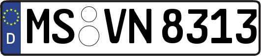 MS-VN8313