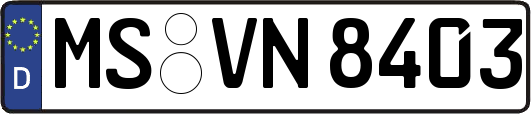 MS-VN8403