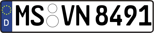 MS-VN8491