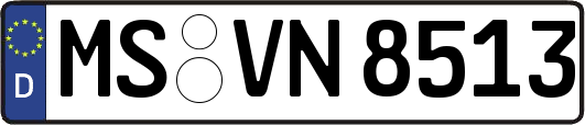 MS-VN8513