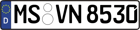 MS-VN8530