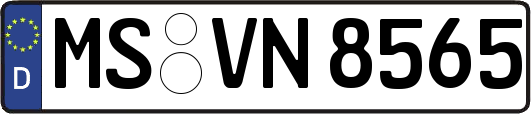 MS-VN8565