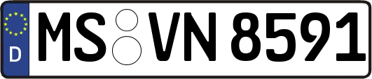 MS-VN8591