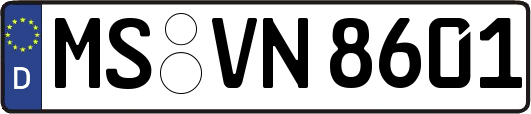 MS-VN8601