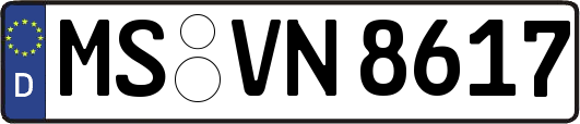 MS-VN8617