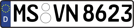 MS-VN8623