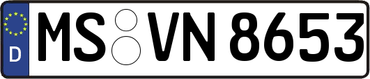 MS-VN8653