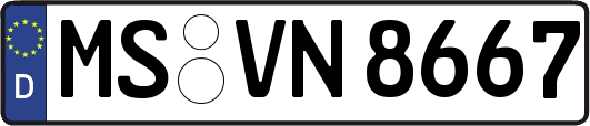 MS-VN8667