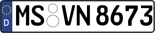 MS-VN8673
