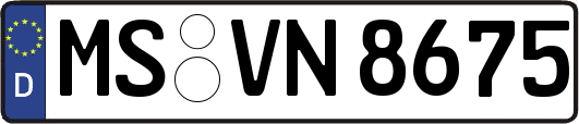 MS-VN8675