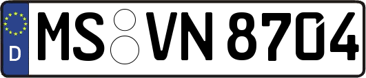 MS-VN8704
