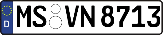 MS-VN8713