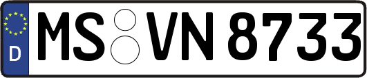 MS-VN8733