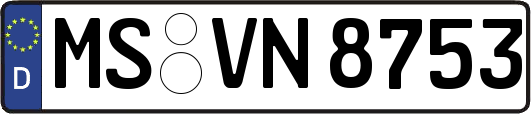 MS-VN8753