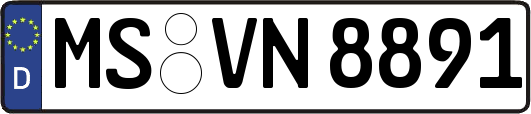 MS-VN8891