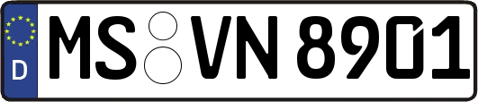 MS-VN8901