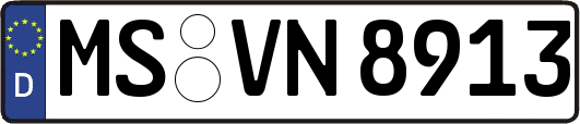 MS-VN8913