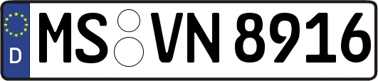 MS-VN8916