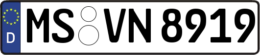 MS-VN8919