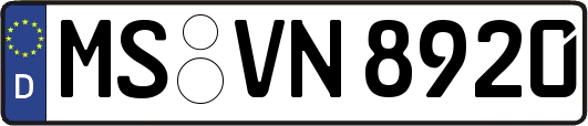 MS-VN8920
