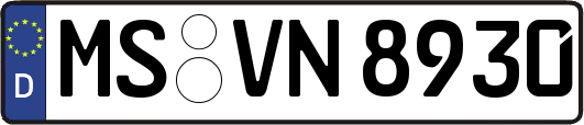 MS-VN8930