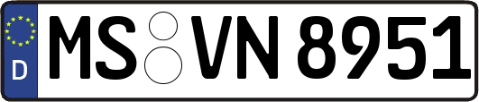 MS-VN8951