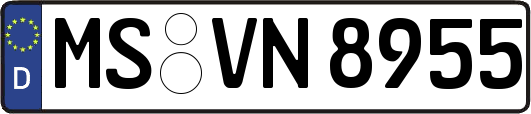 MS-VN8955