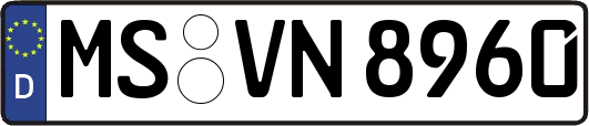 MS-VN8960