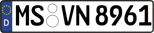 MS-VN8961