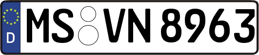 MS-VN8963