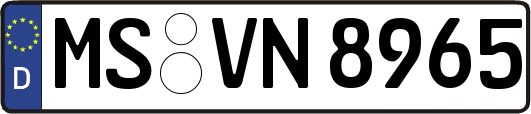 MS-VN8965