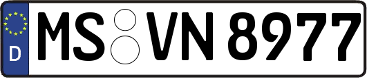 MS-VN8977