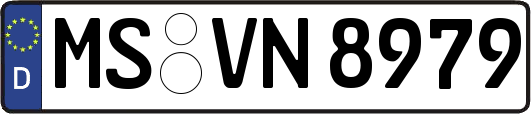 MS-VN8979