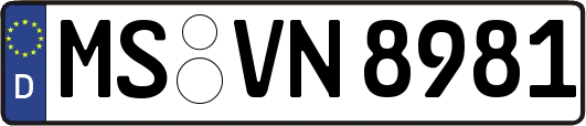 MS-VN8981
