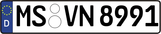 MS-VN8991