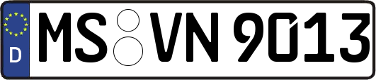 MS-VN9013