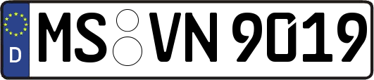 MS-VN9019