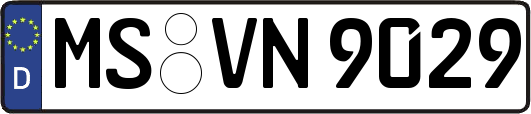 MS-VN9029