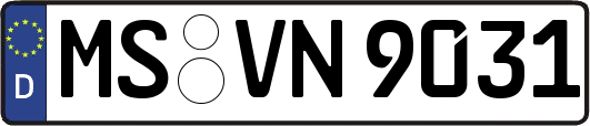 MS-VN9031
