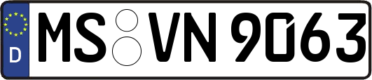 MS-VN9063