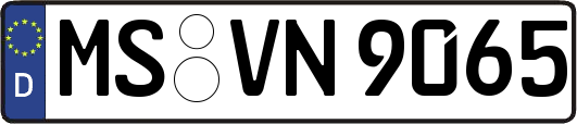 MS-VN9065