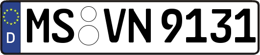 MS-VN9131