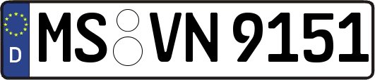 MS-VN9151