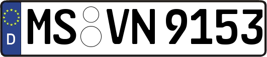 MS-VN9153