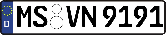 MS-VN9191