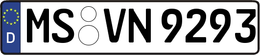 MS-VN9293