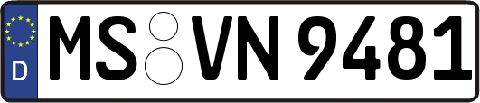 MS-VN9481