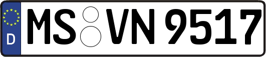 MS-VN9517